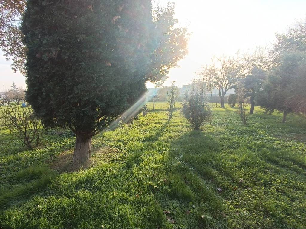 Rustico / casale a Villanova d'asti in Strada della Varletta, 30 - Foto 4