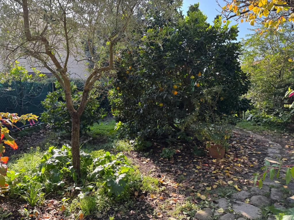 Villa a Castelnuovo magra in Via Molino del Piano - Foto 3