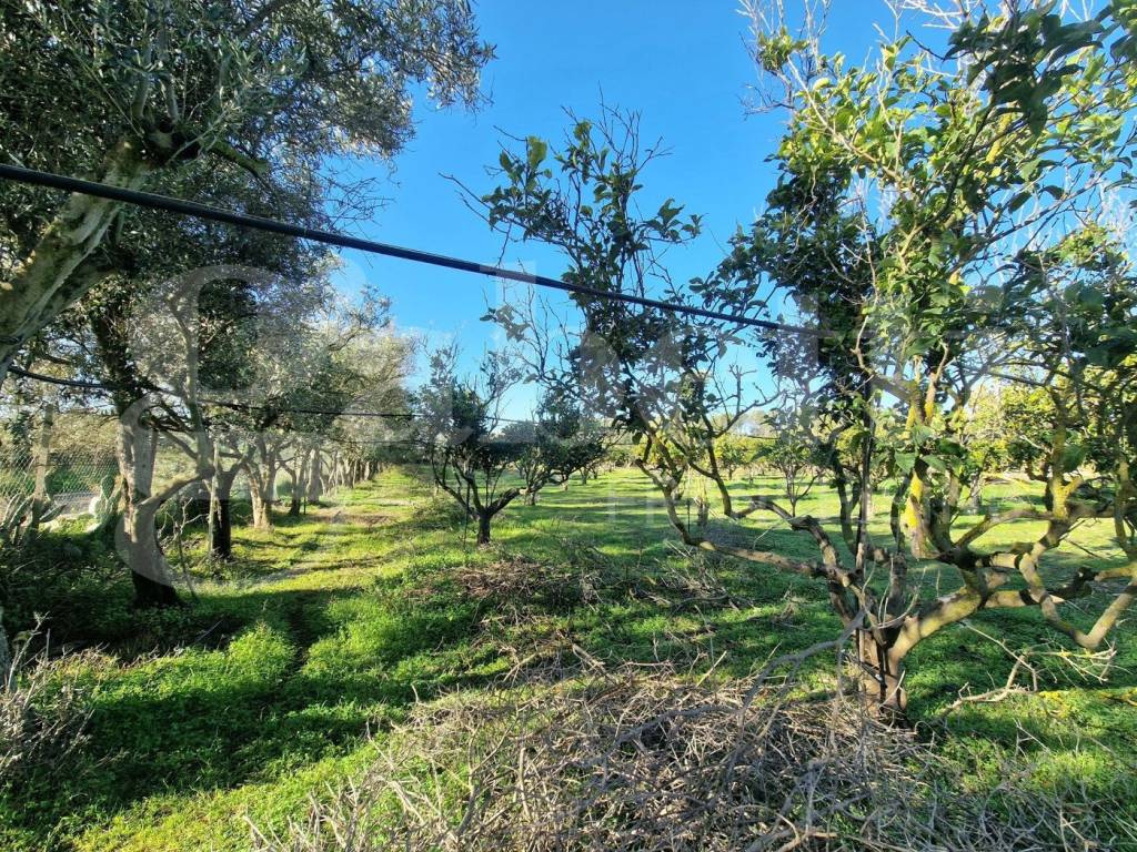 Terreno a Sestu in via dessi, snc - Foto 3