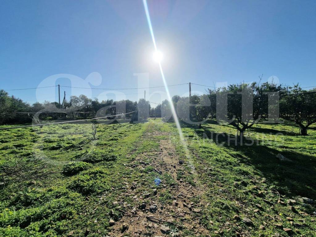 Terreno a Sestu in via dessi, snc - Foto 4