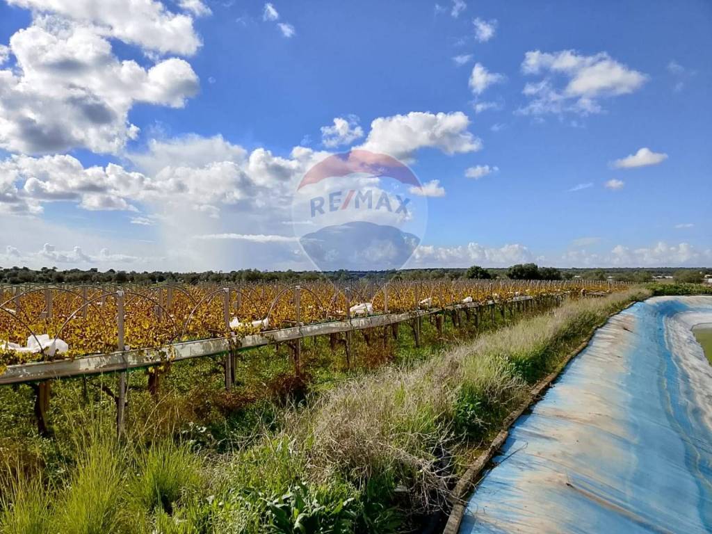 Terreno a Acate in S.P. 34 sp 2 - Foto 5