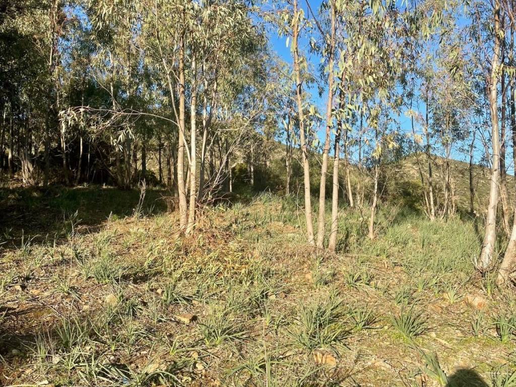 Terreno a Dolianova in Corso Repubblica - Foto 3