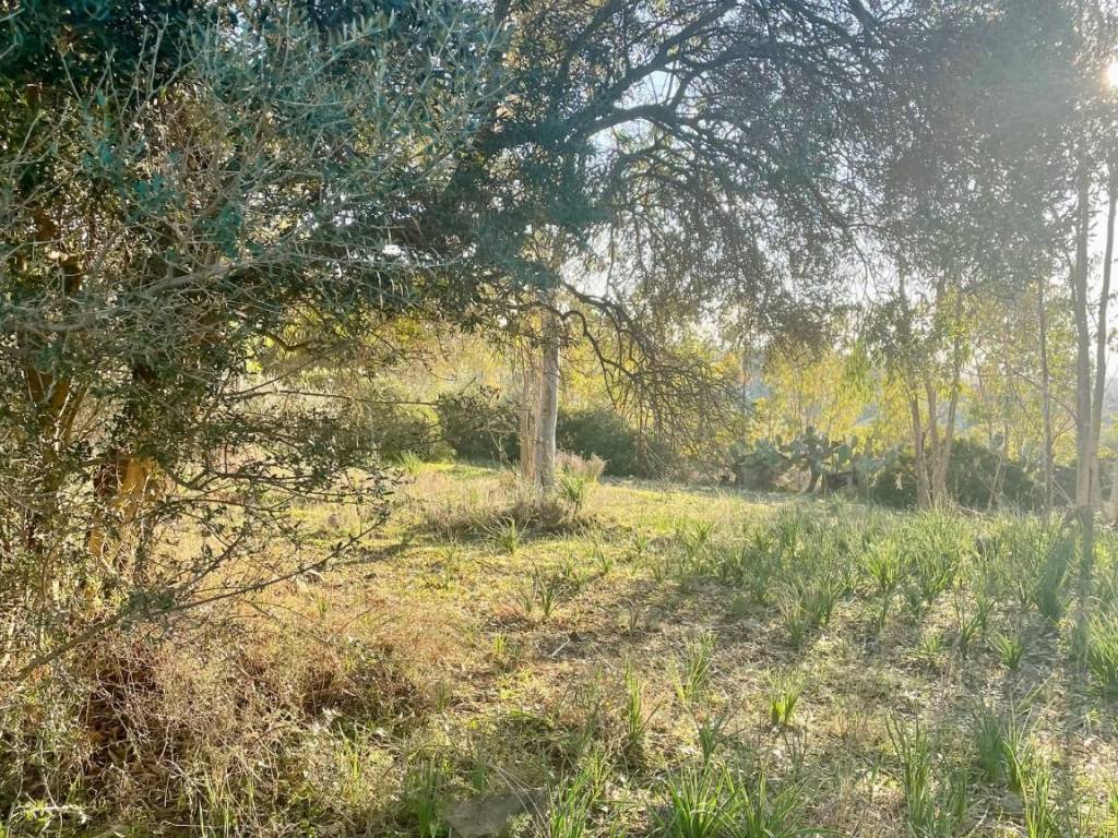 Terreno a Dolianova in Corso Repubblica - Foto 4