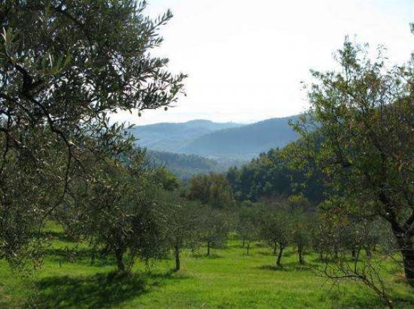 Terreno a Spoleto in Tre Valli Umbre - Foto 3