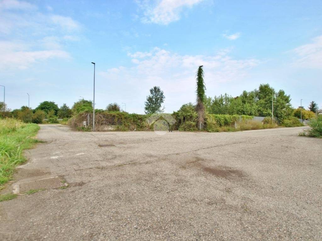 Terreno a Cigliano in Via Farini - Foto 5