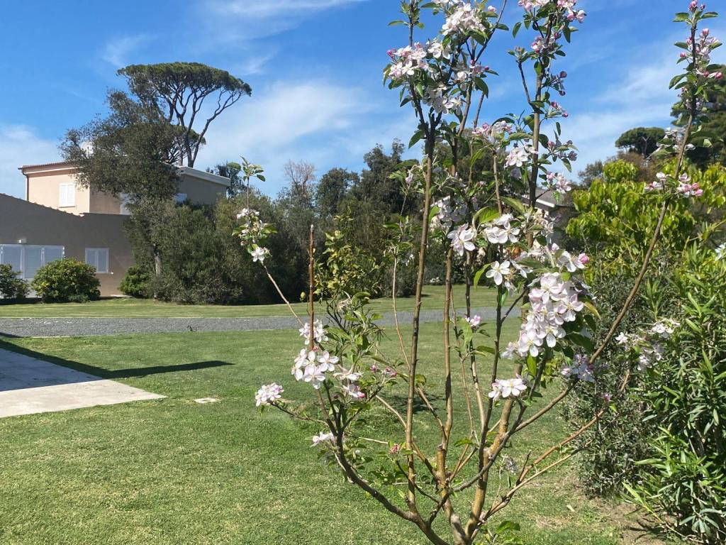 Villa a Castiglione della pescaia in Via del Tennis - Foto 5