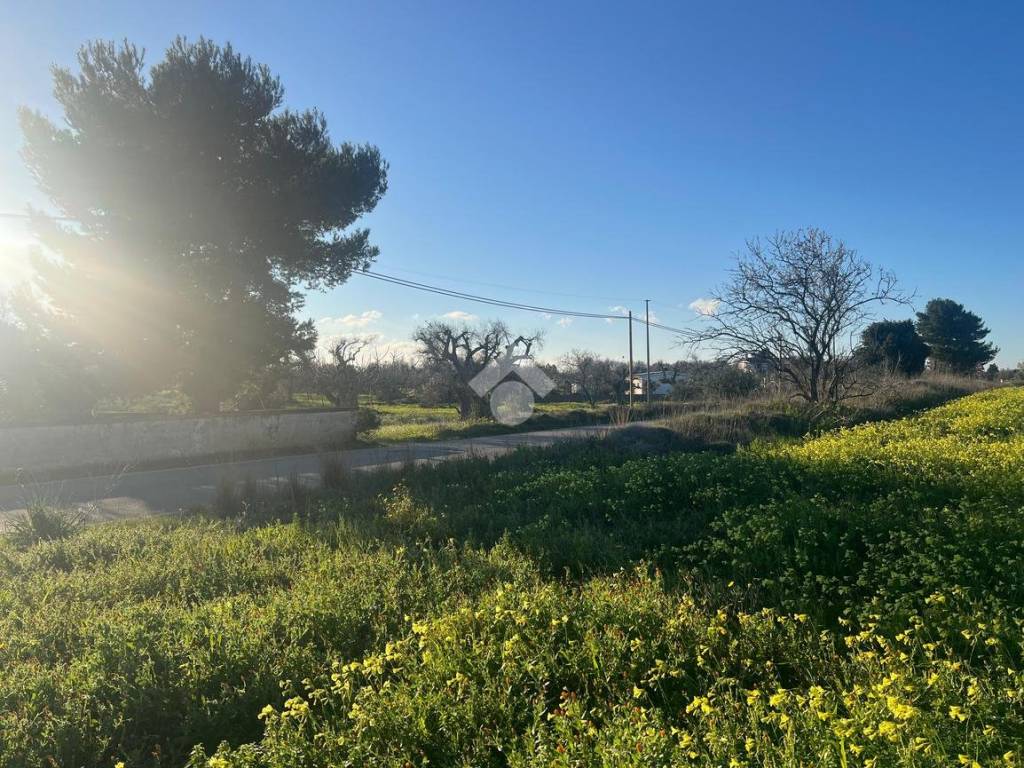 Terreno a Carovigno in Contrada serranova - Foto 4