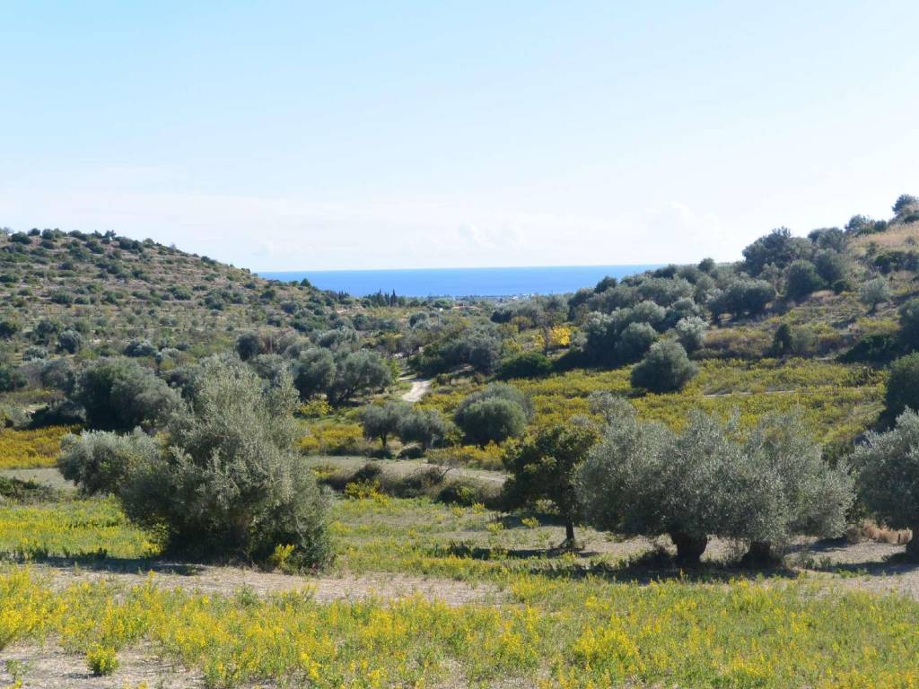 Terreno a Avola in contrada Bochini - Foto 2
