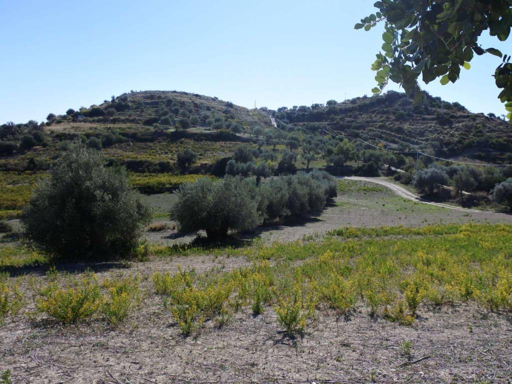 Terreno a Avola in contrada Bochini - Foto 4