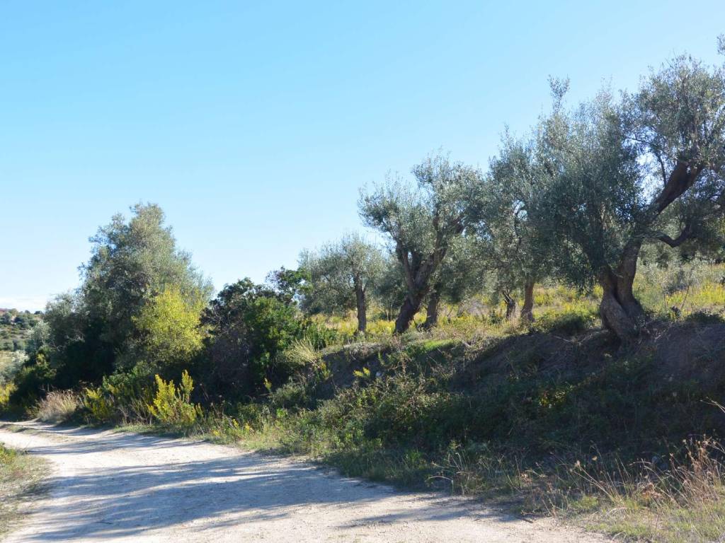 Terreno a Avola in contrada Bochini - Foto 5