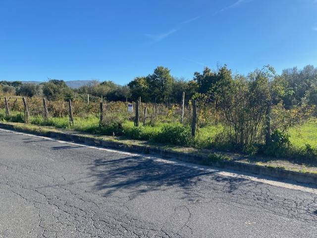 Terreno a Vetralla in strada foro cassio - Foto 3