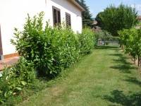 Villa a Sarzana in Via Interna di Nave, 17 - Foto 5