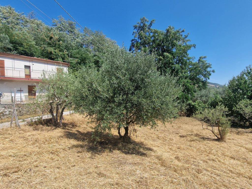 Villa a Piglio in Contrada Carcassano - Foto 3