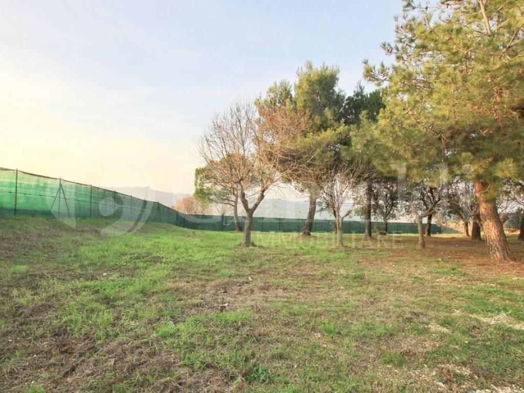 Casa indipendente a Jesi in VIA MACCARATA , 0 - Foto 5