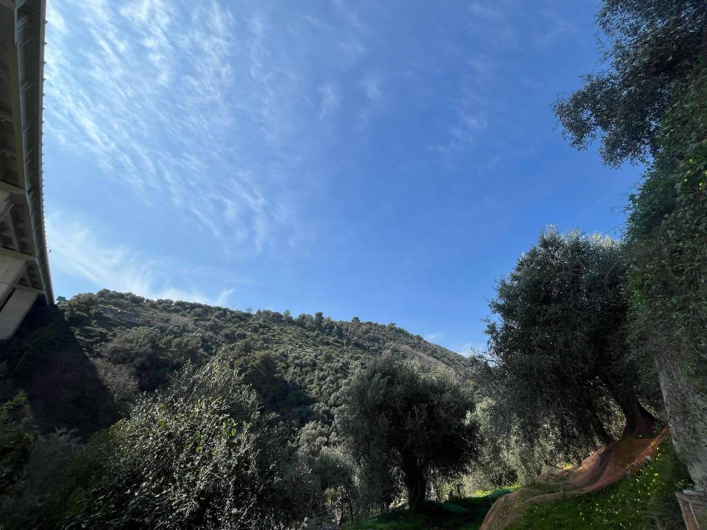 Terreno a Taggia in Regione Cappella - Foto 3