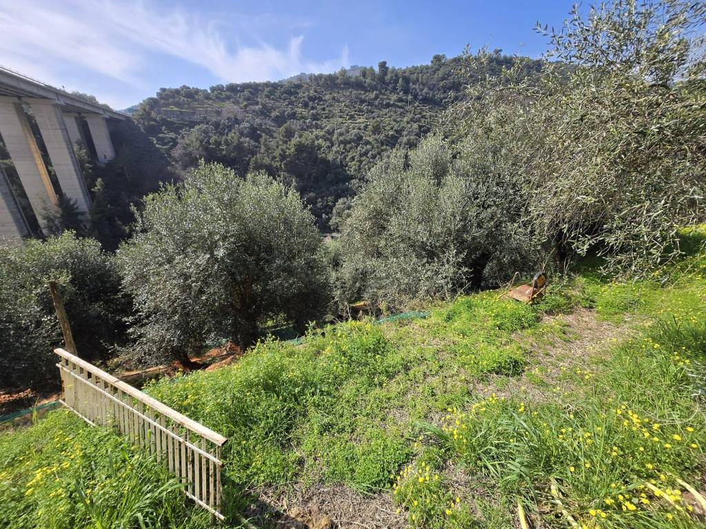 Terreno a Taggia in Regione Cappella - Foto 4