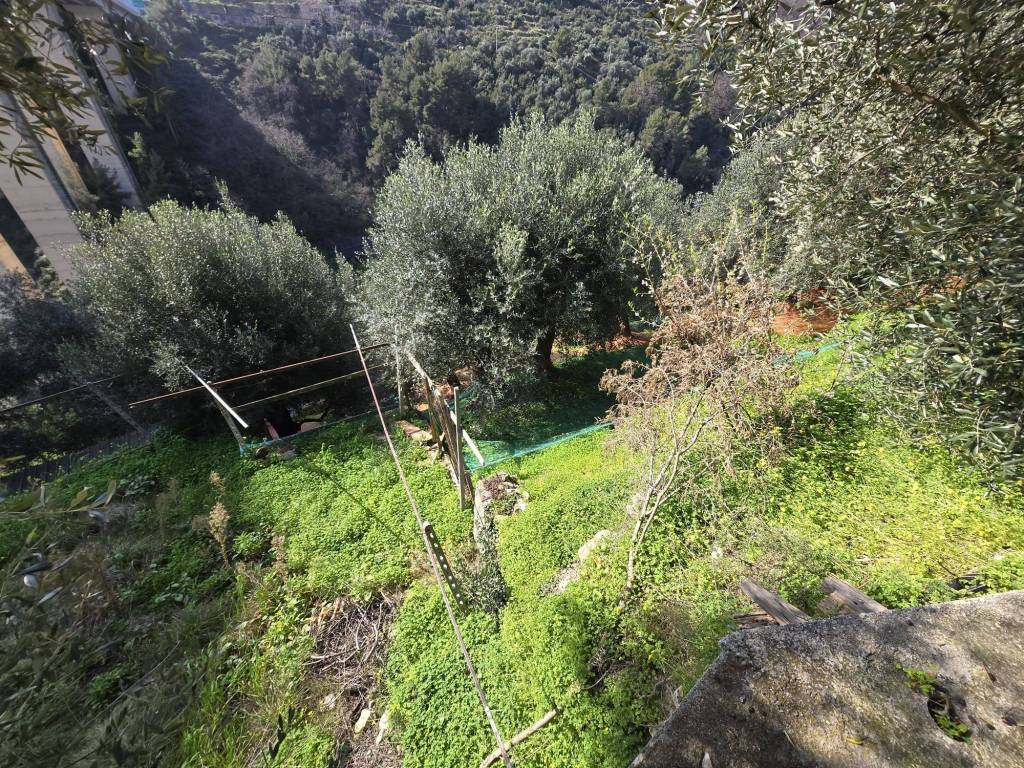Terreno a Taggia in Regione Cappella - Foto 5