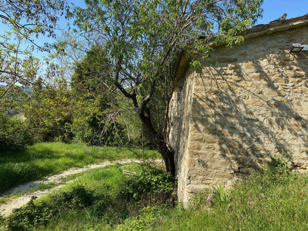 Rustico / casale a Brisighella in Via Valpiana - Foto 4