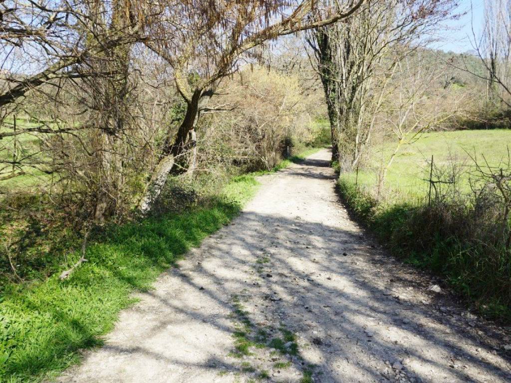 Immobile a Toffia in Località Vitellini - Foto 4