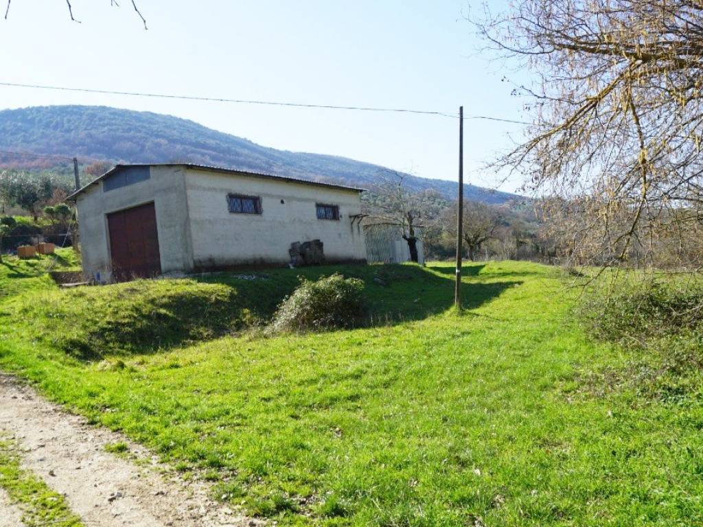 Immobile a Toffia in Località Vitellini - Foto 5