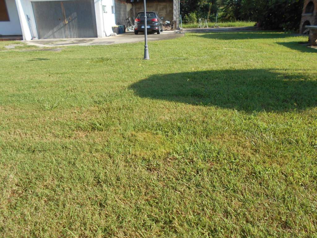 Villa a Cigliano in Strada Vecchia Livorno, 53 - Foto 3