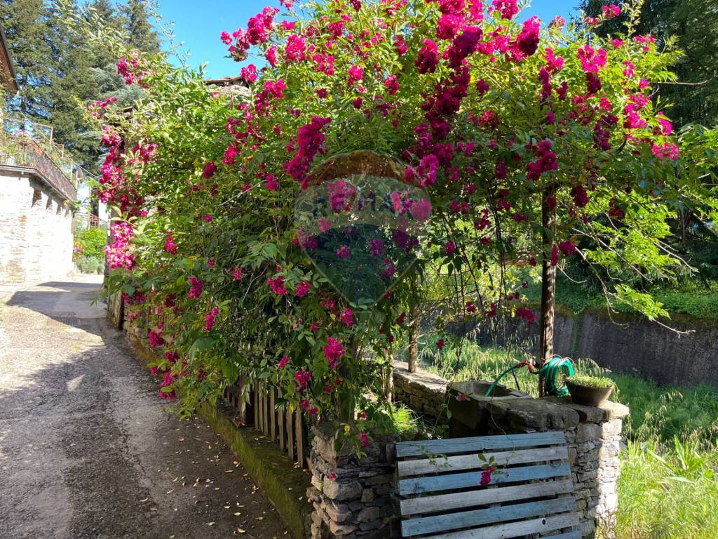 Casa indipendente a Pignone in via Piano, 35 - Foto 4