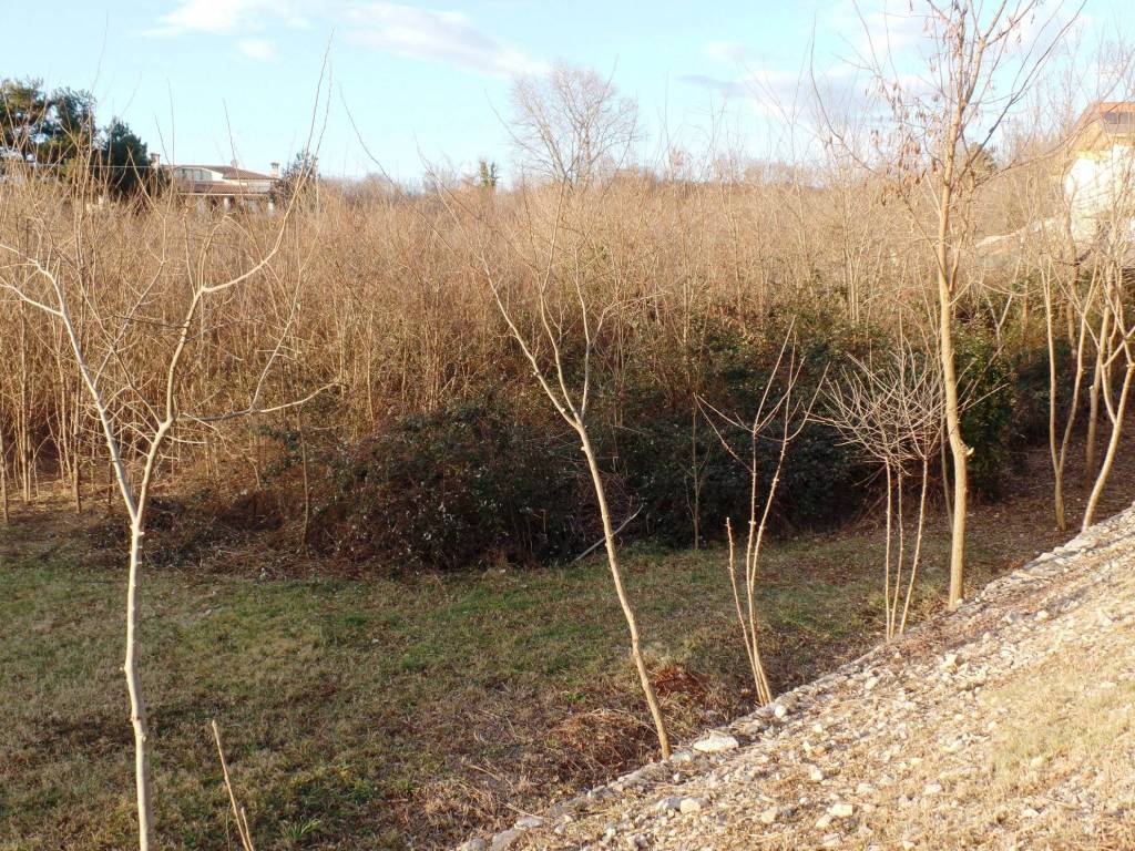 Terreno a Sagrado - Foto 2