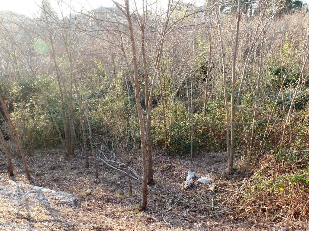 Terreno a Sagrado - Foto 3