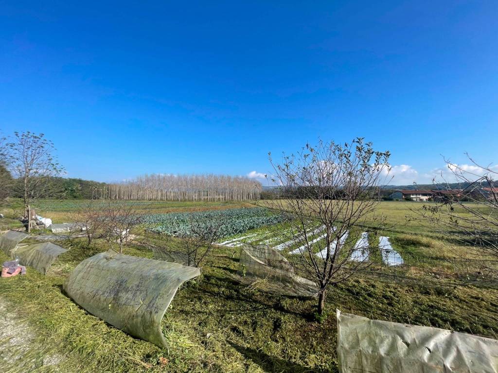 Rustico / casale a Moncrivello - Foto 2