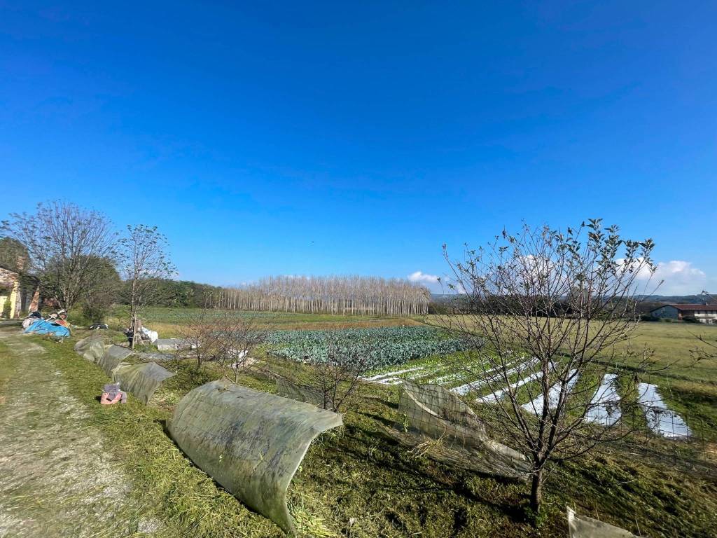 Rustico / casale a Moncrivello - Foto 3