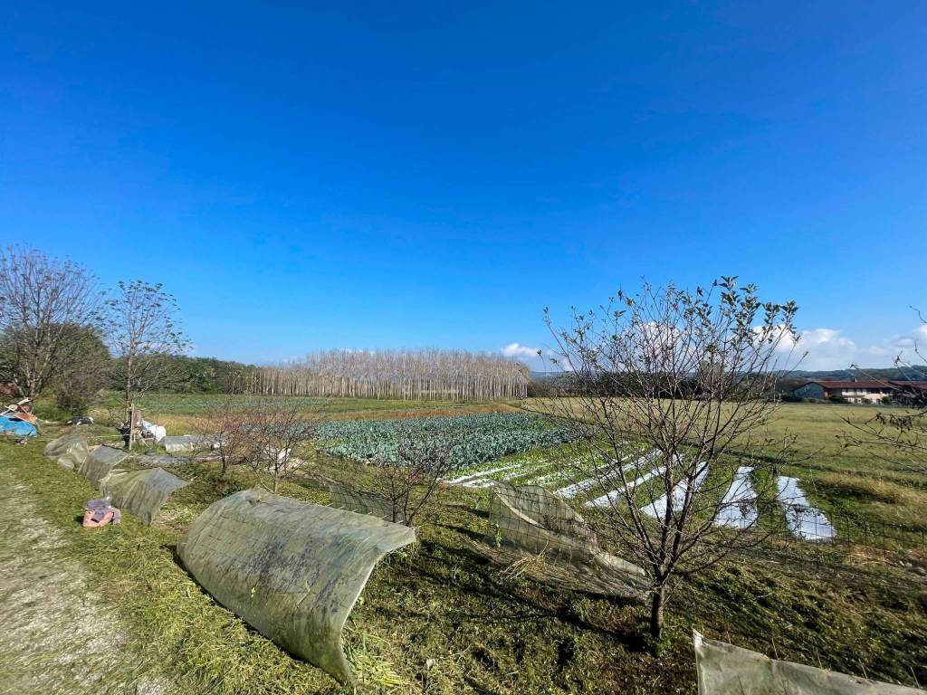 Rustico / casale a Moncrivello - Foto 4