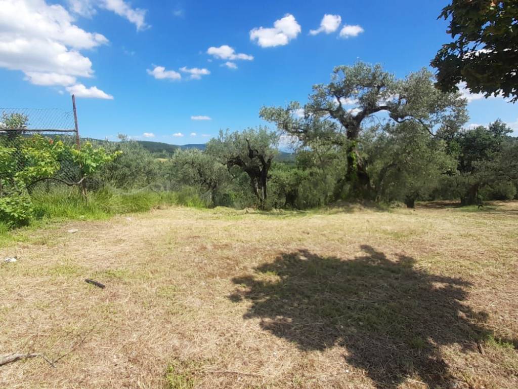 Terreno a Deruta in Via Martiri della Resistenza - Foto 3