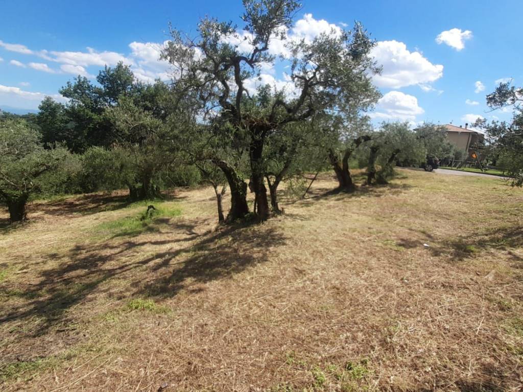 Terreno a Deruta in Via Martiri della Resistenza - Foto 5