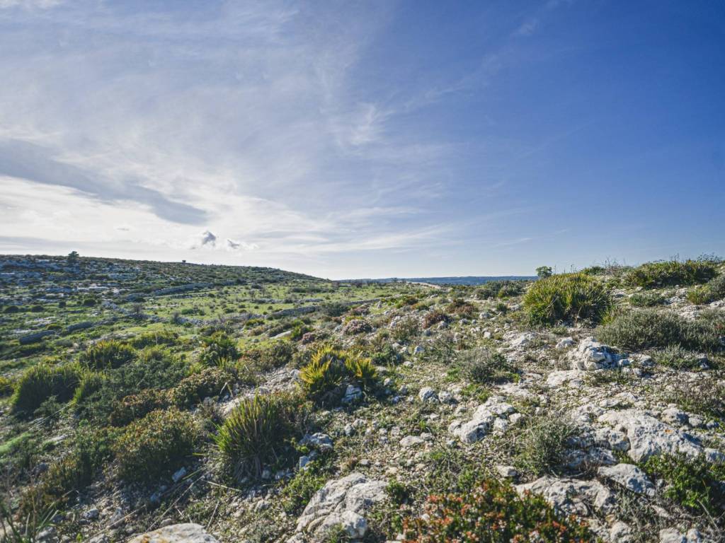 Terreno a Noto in Contrada Sant'Elia - Foto 3
