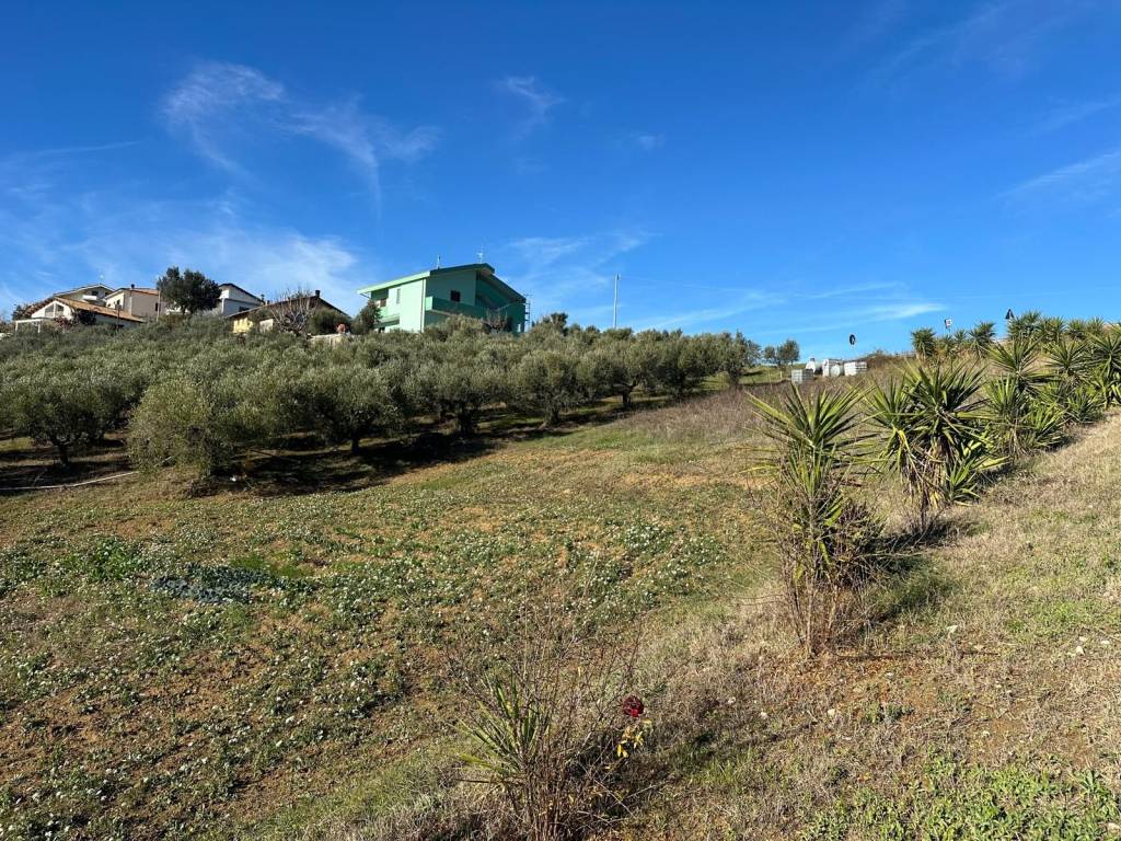 Terreno a Atri in Via Cavalieri del Santo Sepolcro, 26 - Foto 2