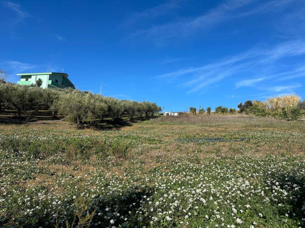 Terreno a Atri in Via Cavalieri del Santo Sepolcro, 26 - Foto 4