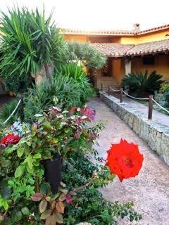 Villa a San vero milis - Foto 5