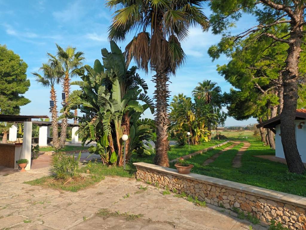 Terreno a Pulsano - Foto 2