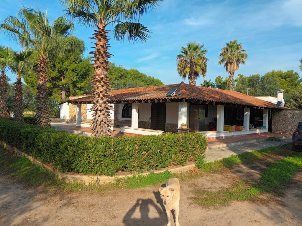 Terreno a Pulsano - Foto 3