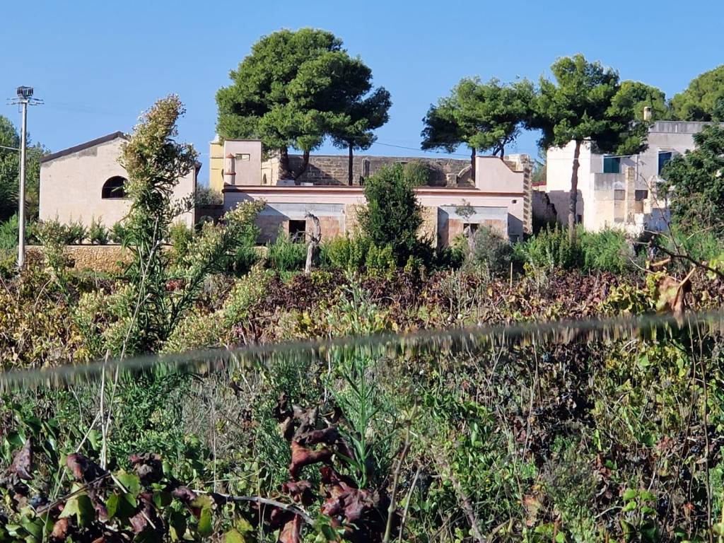 Rustico / casale a Sannicola in Via Vanini - Foto 4