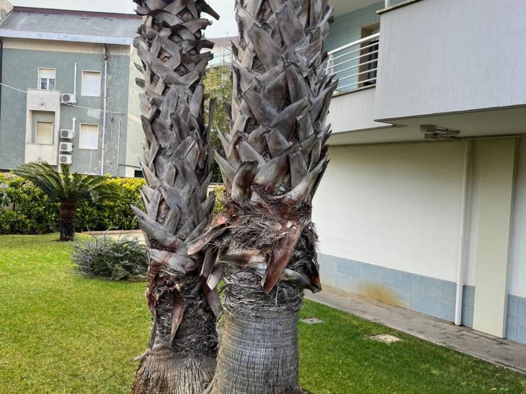 Attico / mansarda a Pescara in Via Fabrizio De Andrè, 5 - Foto 3