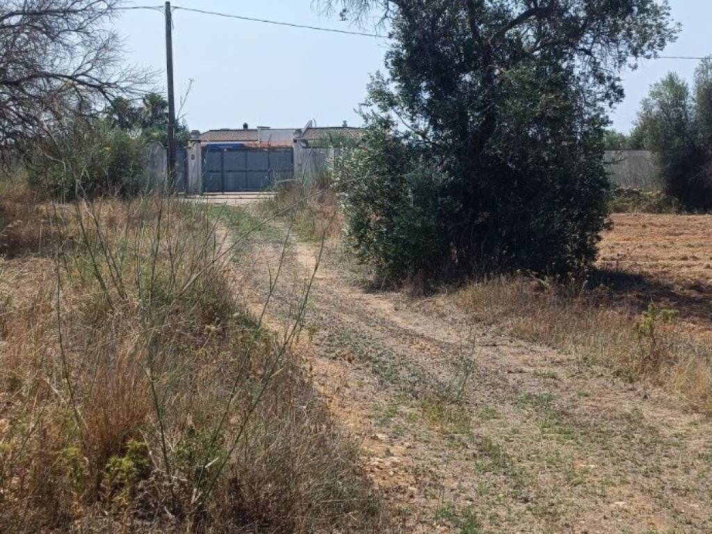 Terreno a Gallipoli in Strada Vicinale Arene Spirito Santo - Foto 2