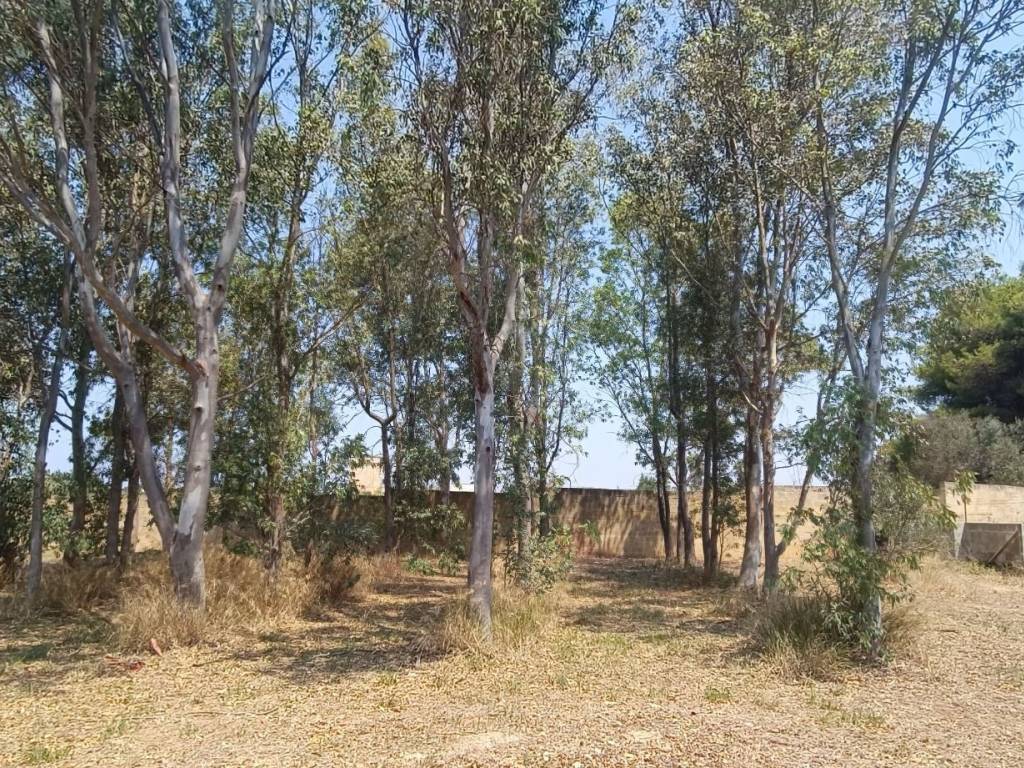 Terreno a Gallipoli in Strada Vicinale Arene Spirito Santo - Foto 4