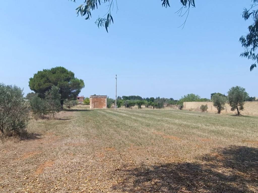 Terreno a Gallipoli in Strada Vicinale Arene Spirito Santo - Foto 5