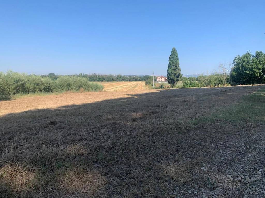 Terreno a Bastia umbra in via sant'Elisabetta - Foto 2
