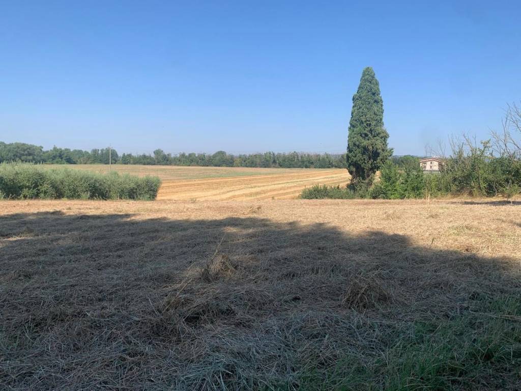 Terreno a Bastia umbra in via sant'Elisabetta - Foto 3