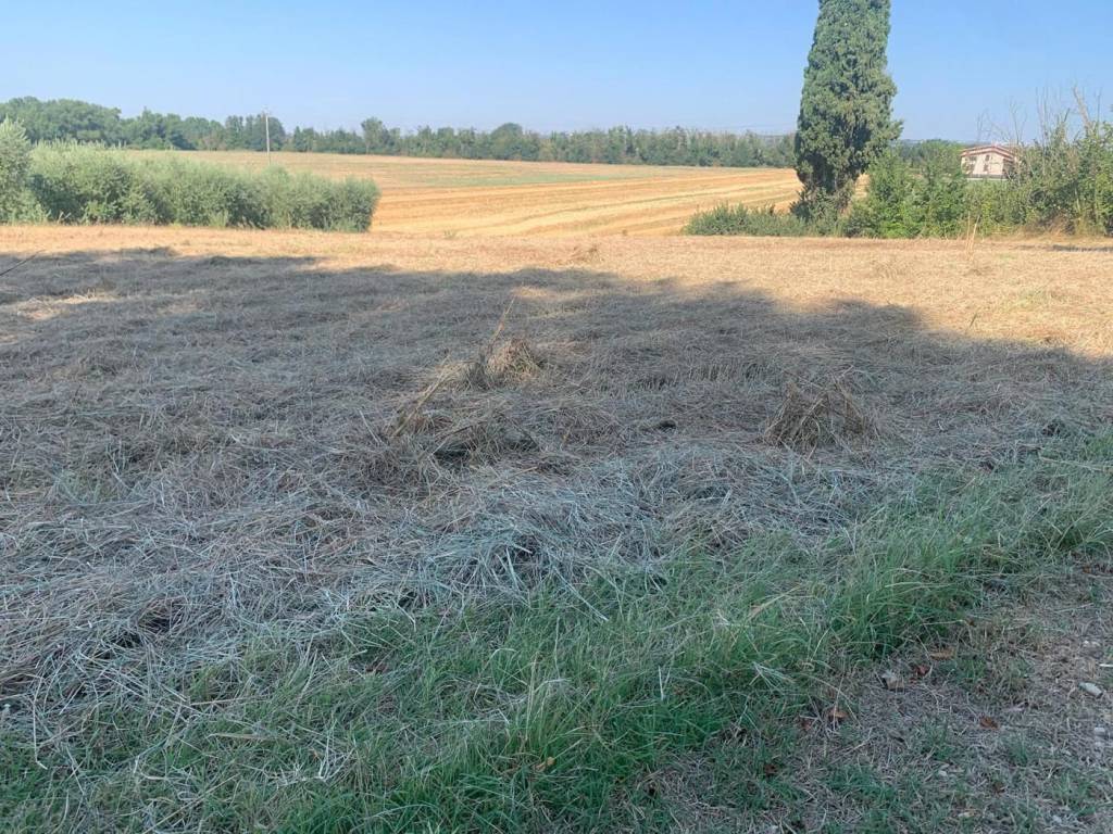 Terreno a Bastia umbra in via sant'Elisabetta - Foto 4