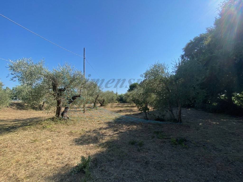 Villetta a schiera a Rosignano marittimo in località stradone polveroni - Foto 4