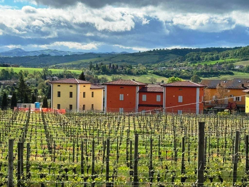 Villa a Castelvetro di modena in Via Bacuccola - Foto 2