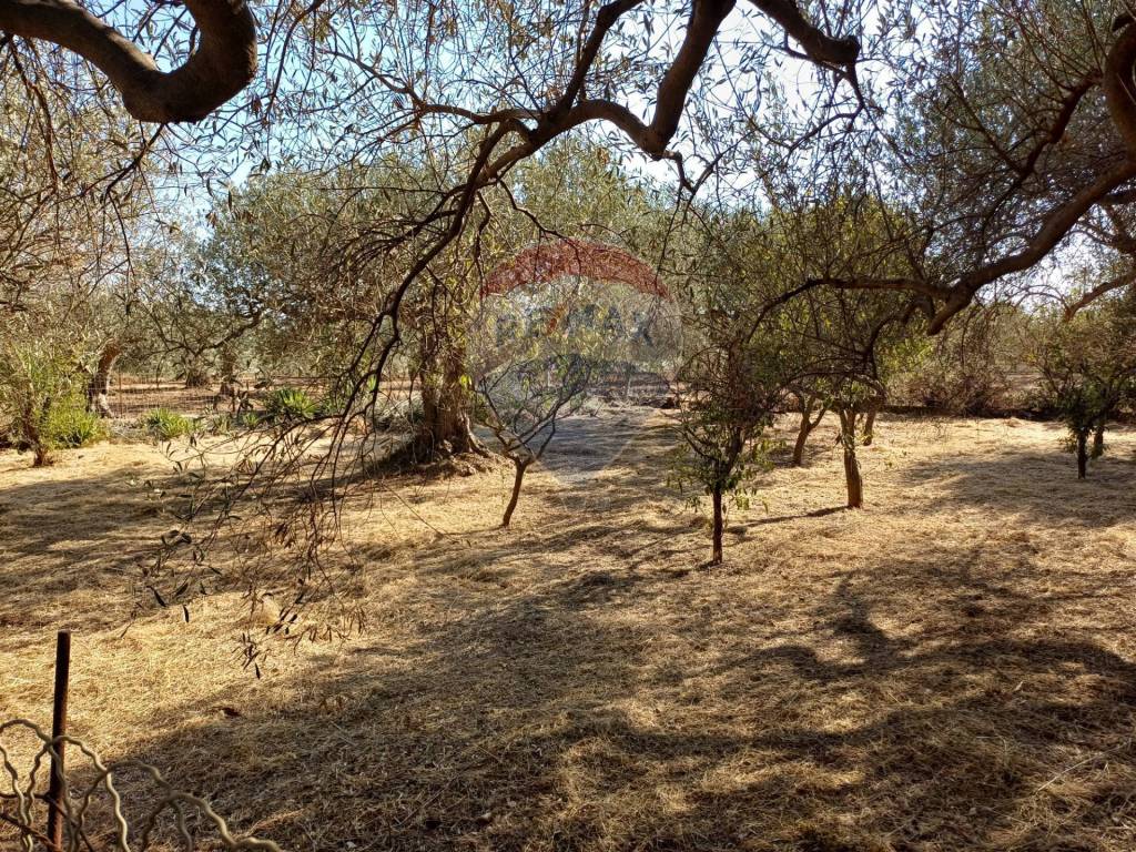 Villa a Chiaramonte gulfi in c/da Dicchiara - Foto 2